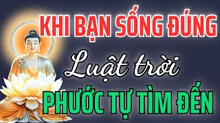 Người được chọn: Vì sao có người càng thiện, phước càng dày, đường đời càng sáng?