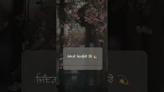 ਜਿੰਦਗੀ ਬਿਤਾਉਣੀ ਤੇਰੇ ਨਾਲ  ❤ Punjabi Song Status 🥺 WhatsApp Song Status #sad#shorts #ytshorts #punjabi