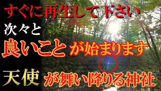 【皇大神宮別宮 瀧原宮】※ほとんどの方に表示されません！天使の姿を見た瞬間から貴方に幸せが訪れます｜遠隔参拝#86｜Takiharanomiya Shrine Japan