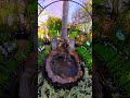 Waterfeature short action 3 slow mo - tranquil setting