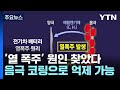 [과학한스푼] 전기차 배터리 '열 폭주' 원인 찾았다...음극 코팅으로 억제 가능 / YTN