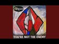 YOU'RE NOT THE ENEMY