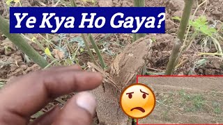 Ye Kya Ho Gaya?🤔🤐😪|| Mahesh Barad 5G || village life Vlog Gujarat #village#lifestyle#vlog