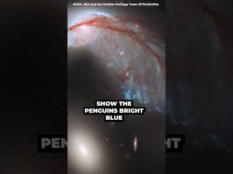 Hubble and Webb's view of the Penguin and Egg galaxies. #cosmoknowledge #hubble #webb #galaxy