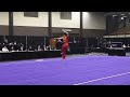 stanley meng men s daoshu 8.313 us wushu team trials 2023