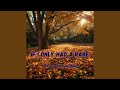 If I Only Had a Rake