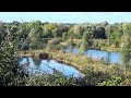 Niedermoorwiesen Tegeler Fließ (biosphere reserve) || HD 1080p