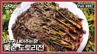 [한국인의밥상★풀버전] 소백산 새순밥상 싱그러운 봄 내음- 병풍취쌈밥부터 다래순고등어조림까지! | “나무가 내어주는 맛 소백산 새순밥상” (KBS 150521 방송)