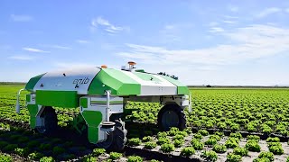 Dino: Revolutionizing Farming with Autonomous Weeding Robots for Sustainable Agriculture