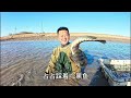 清淤河道“成千上萬”的魚群！東子手捧魚現場直接炸鍋，太刺激了 徒手抓魚 真實戶外 冬季冰上捕魚