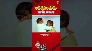 సినిమా క్లైమాక్స్ ఇలా ఉంటే.? #telugumoviescenes #anr #anrmovies #radha #latesttelugumovies