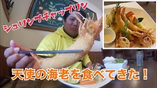 【ランチ】念願の天使の海老を食す！シュリンプチャップリンで激ウマランチ！【大和高田市】