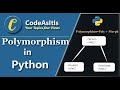 Polymorphism in Python || Python OOPS Programming || Python Tutorial || Learn Python Programming