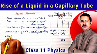 Derivation of Rise of a Liquid in a Capillary Tube  | Ascent Formula | Class 11 Physics