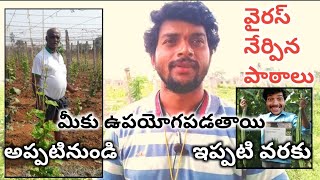 కూరగాయ తోటలో వైరస్ నేర్పిన పాఠాలు //మీకు ఉపయోగపడతాయి పూర్తిగా చూడండి