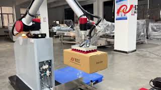 8 PCs tapes auto filling into carton box with robot. Robot filling - Sealing - Robot pallets