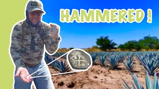 INSANE Site for SPANISH HAMMEREDS !!! COB FOUND | Metal Detecting @mwcooke8441