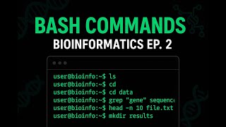 Bash Basic Commands for Bioinformatics | Bioinformatics Data Analysis Ep. 2