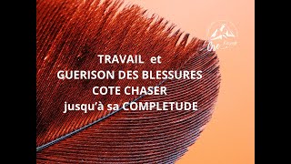 FJ : Travail et guérison des blessures côté CHASER jusqu'à sa complétude