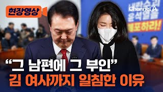 김건희 여사 '표절' 잠정 결론에 대한 민주당 입장 [현장영상] / 채널A