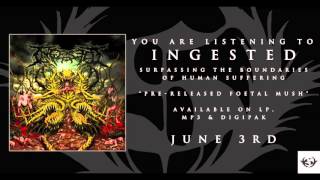 INGESTED - Pre- Released Foetal Mush (2016)