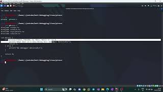 Linux Anti-Debugging 0x1 - ptrace | Anti-Analysis