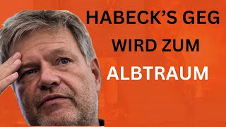 Habecks GEG: Was dieses Gesetz Sie ab 2025 WIRKLICH kostet!