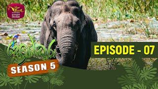 SOBADHARA - SEASON 05 | EPISODE -07 | WILDLIFE TOURISM | RUPAVAHINI