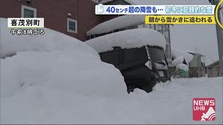 1日で42センチも…北海道で\