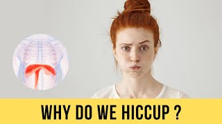 Why do we get Hiccups? | हिचकी क्यों आती है? | Fun Fact of the week | IPF | #shorts