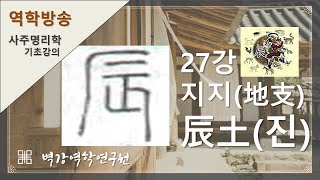 사주명리학기초강의27강 - 12지지 -진토(辰土)