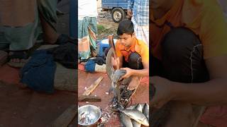 amazing Rui fish cutting skill #fishcuttingskill #fish #speedcutting