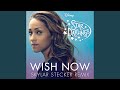 Wish Now (Skylar Stecker Remix)