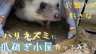 爪切りさせてくれないのでハリネズミに爪研ぎ小屋つくってみた