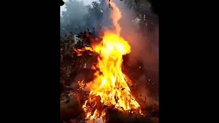 భోగి మంట విజయవాడ లో// bhogi fire in Vijayawada