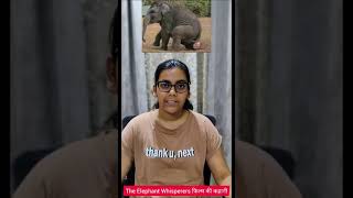 Elephant Whisperer Story in Hindi #ezyquest #shorts #entertainment #bollywood