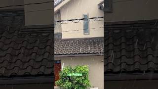 ICE PELLETS/ Tiny, bouncing balls of ice