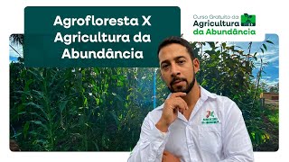 Agrofloresta X Agricultura da Abundância -Domingo Especial da Agricultura da Abundância-Ep.55