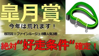 皐月賞2021　絶対”好走条件”確定【今年は荒れます！】好走条件を根拠を示しながら解説！　大阪杯グランアレグリア消し、桜花賞◎ファインルージュ的中！　～仮説検証による競馬予想～