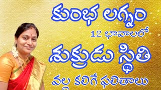 Venus in different houses in Aquarius ascendant కుంభ లగ్నం శుక్రుడి వల్ల కలుగు ఫలితాలు