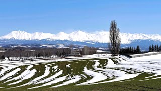 北の国から　2022早春～富良野･美瑛