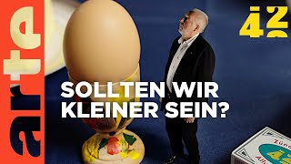 Warum sind wir nicht winzig klein?  | 42 - Die Antwort auf fast alles | ARTE