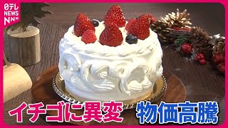 【砂糖や牛乳が高騰】クリスマスケーキが“値上げ”に  イチゴも品薄で…