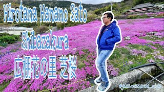 Hirotana Hanano Sato Shibazakura|| 広棚花の里 芝桜|| gleanescense_vlogs