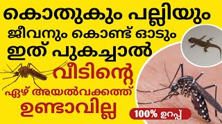 കൊതുകും പല്ലിയും ഇനി വീടിൻറെ ഏഴ് അയൽവക്കത്ത് വരില്ല || How To Get Rid Of Mosquitos