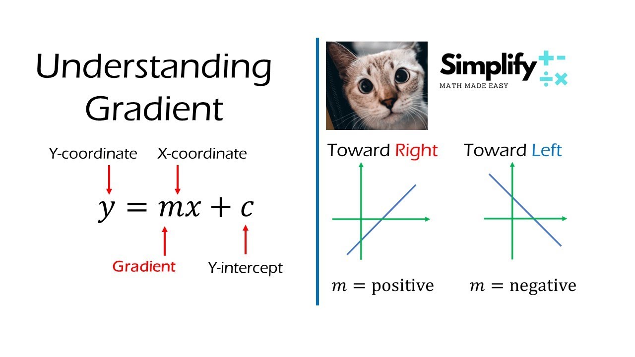 Understanding Gradient | Straight Line - YouTube