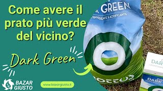 Bazargiusto | Concime rinverdente e antimuschio Dark Green Bottos