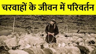 चरवाहों के जीवन में परिवर्तन | Changes in the life of the shepherds | Class 9th | First in Class