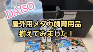 DAISOで屋外用メダカ飼育用品揃えてみました‼️✨