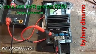 Test avr leroy sumer R250 INPUT 110volt